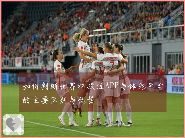 如何判断世界杯投注APP与体彩平台的主要区别与优势