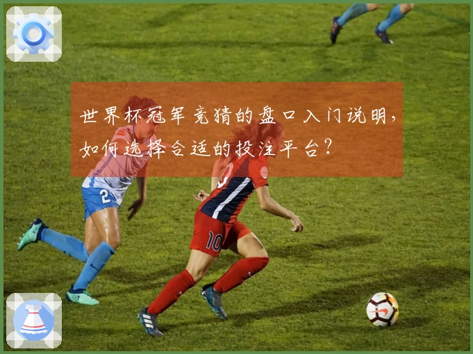 世界杯冠军竞猜的盘口入门说明,如何选择合适的投注平台?
