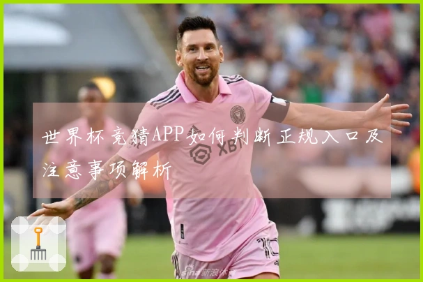 世界杯竞猜APP如何判断正规入口及注意事项解析