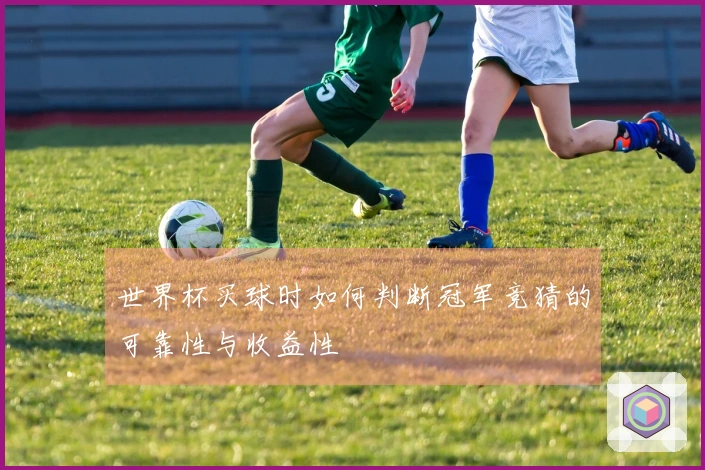 世界杯买球时如何判断冠军竞猜的可靠性与收益性