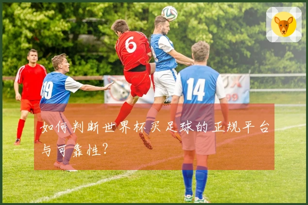 如何判断世界杯买足球的正规平台与可靠性？