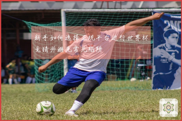 新手如何选择正规平台进行世界杯竞猜并避免常见陷阱