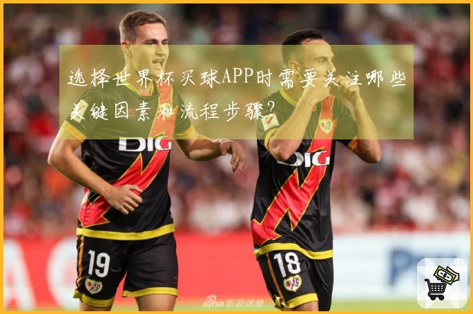 选择世界杯买球APP时需要关注哪些关键因素和流程步骤？