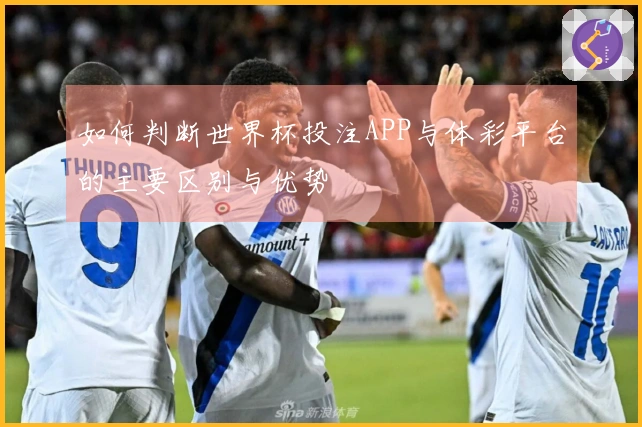 如何判断世界杯投注APP与体彩平台的主要区别与优势