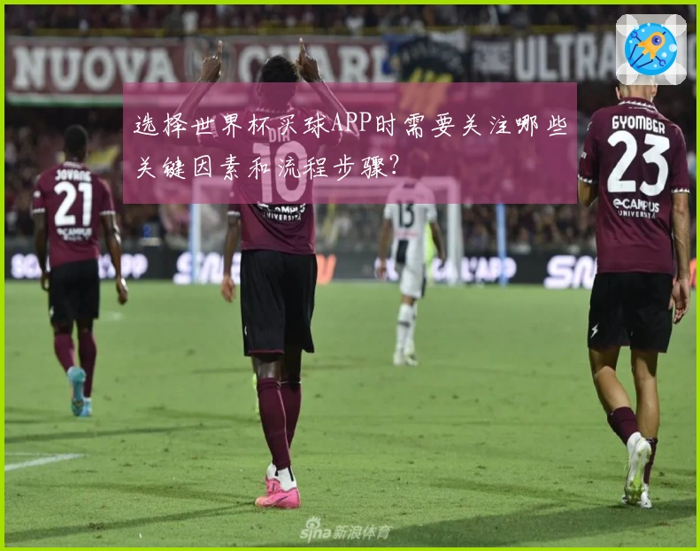 选择世界杯买球APP时需要关注哪些关键因素和流程步骤？